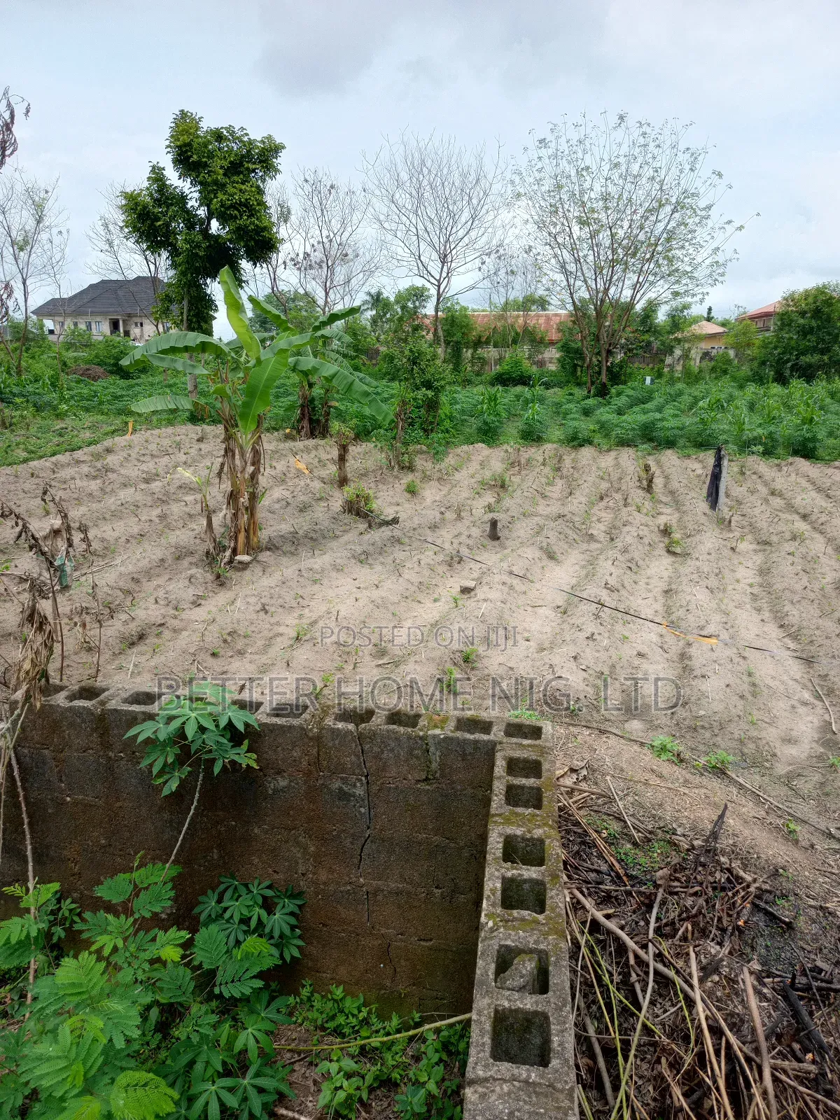 A Plot of Land