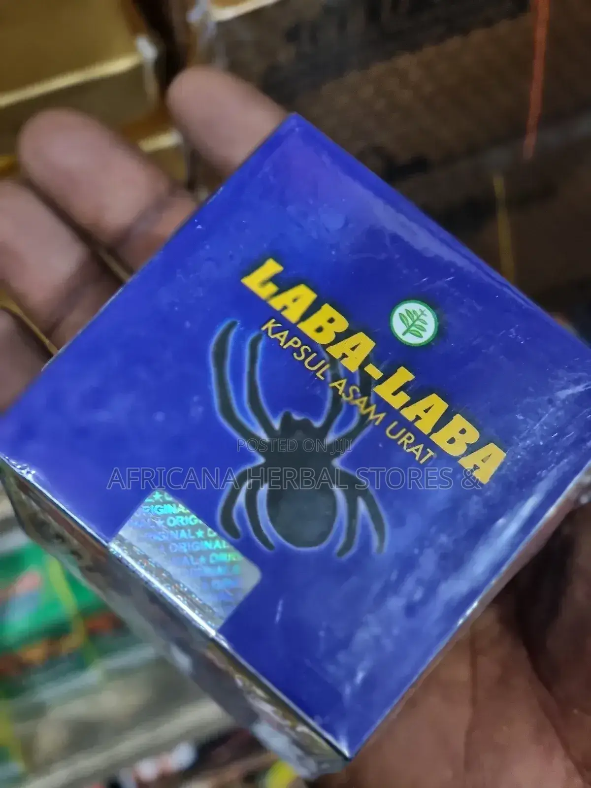 Laba Laba Cure for Rheumatism, Arthritis, Backache,Insomnia