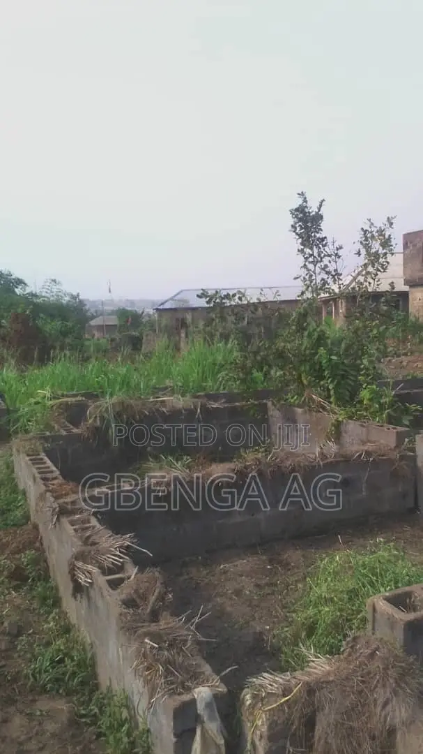 A Plot for Sale at Ogba Ayo Ijoko
