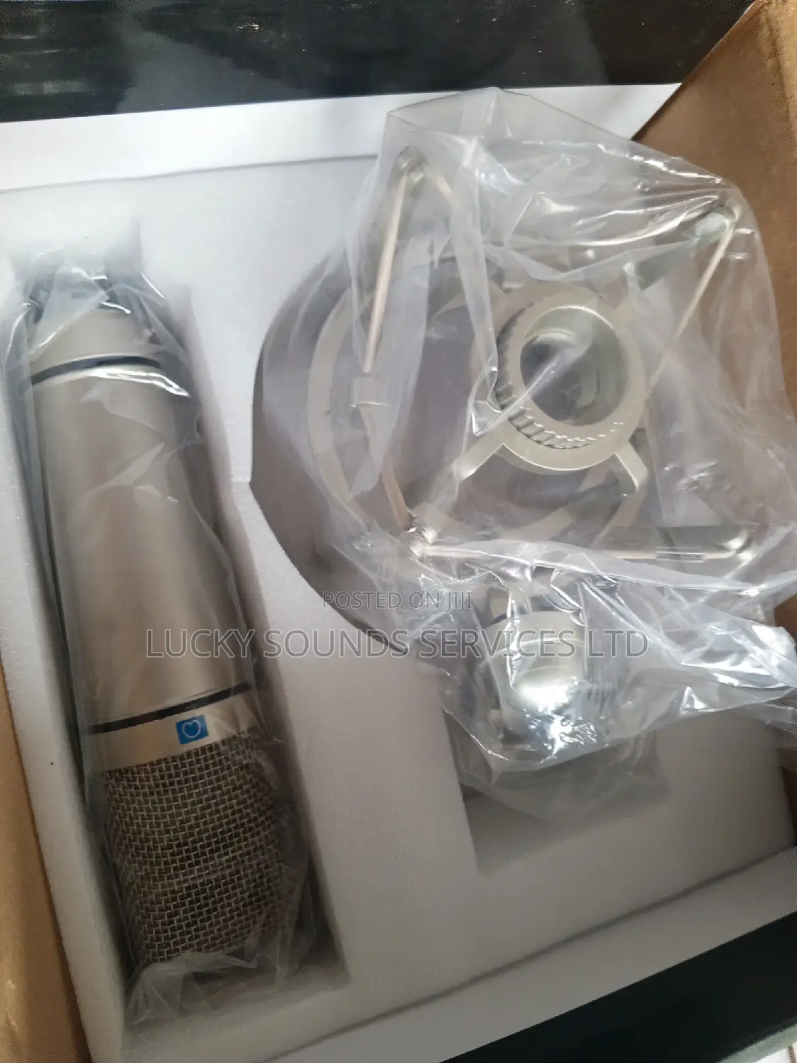 Professional Studio Microphone