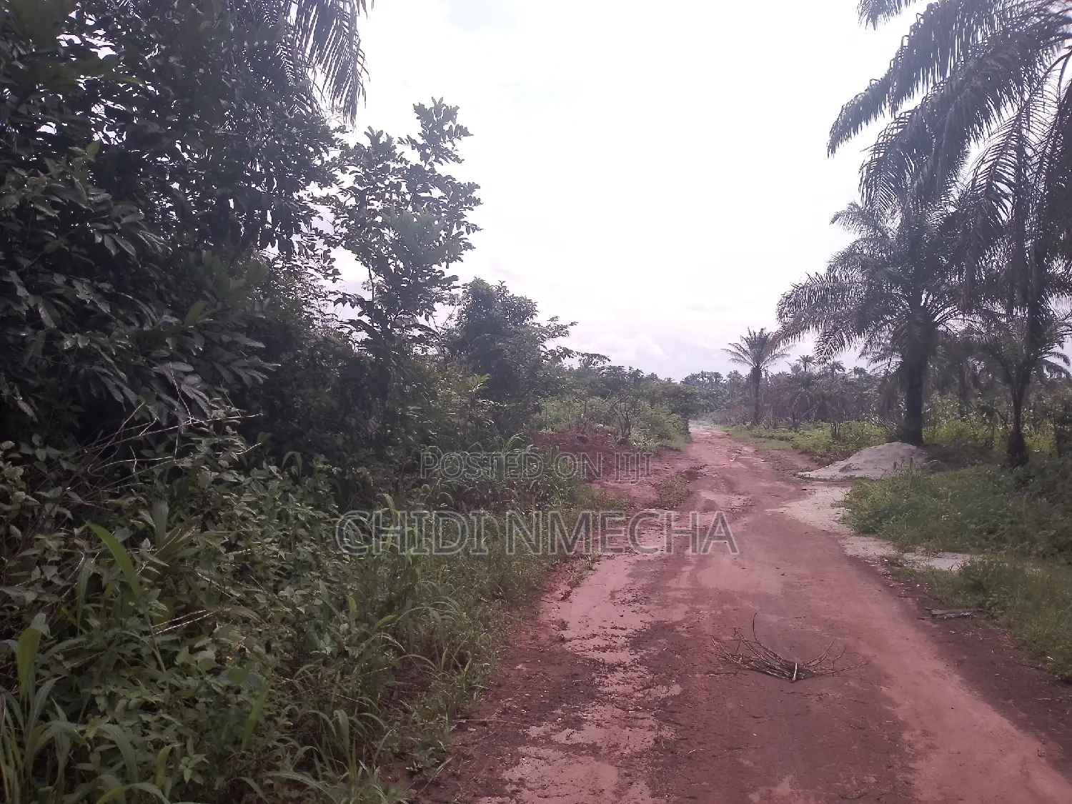 Plots of Land