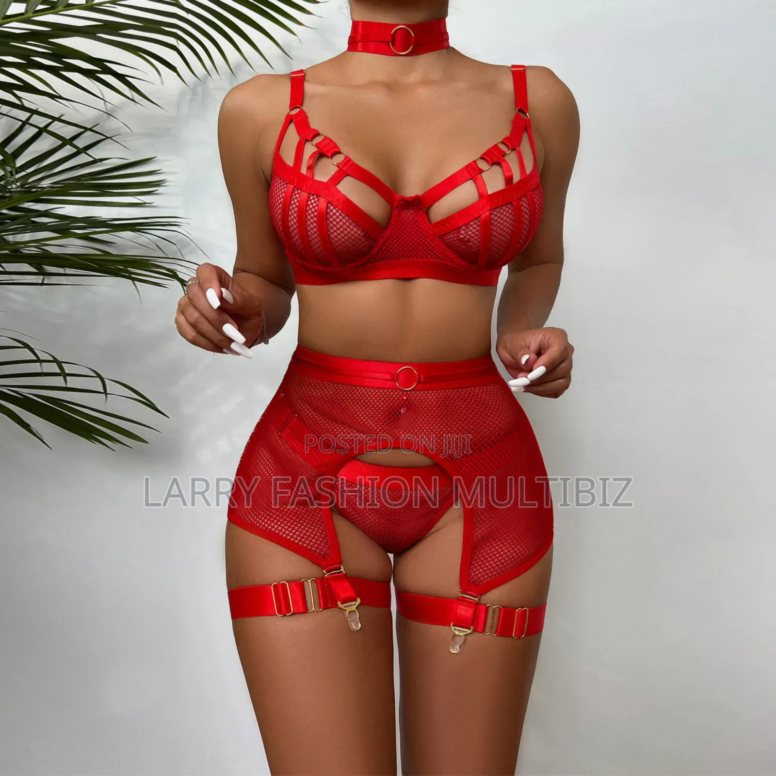 Sexy Garter Lingerie (6piece)