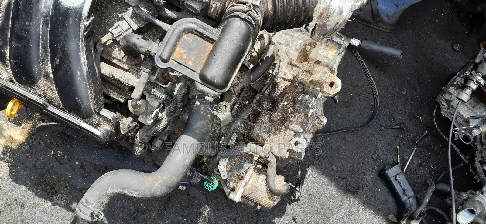 Nissan Sentra 2008 Engine and Gearbox