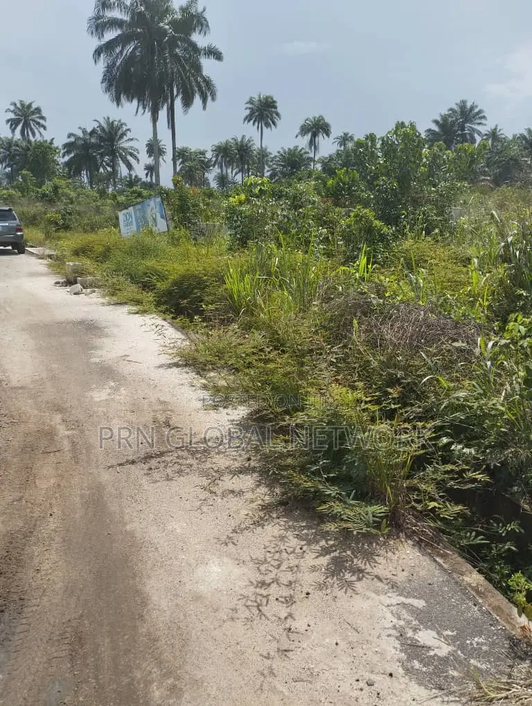 Plots Of Land Available For Smart Investment In Owerri
