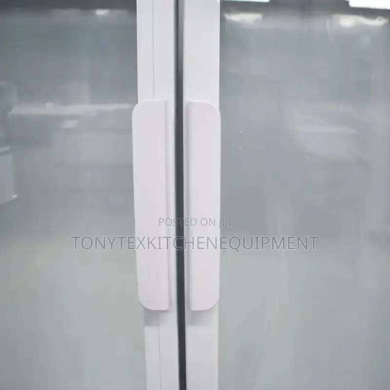 Commercial 2dooe Display Freezer