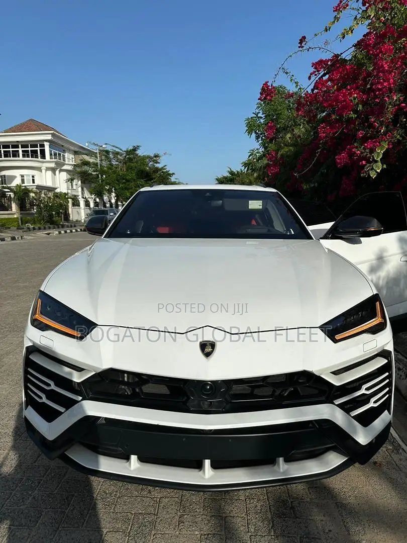 Lamborghini Urus for Rent (White)