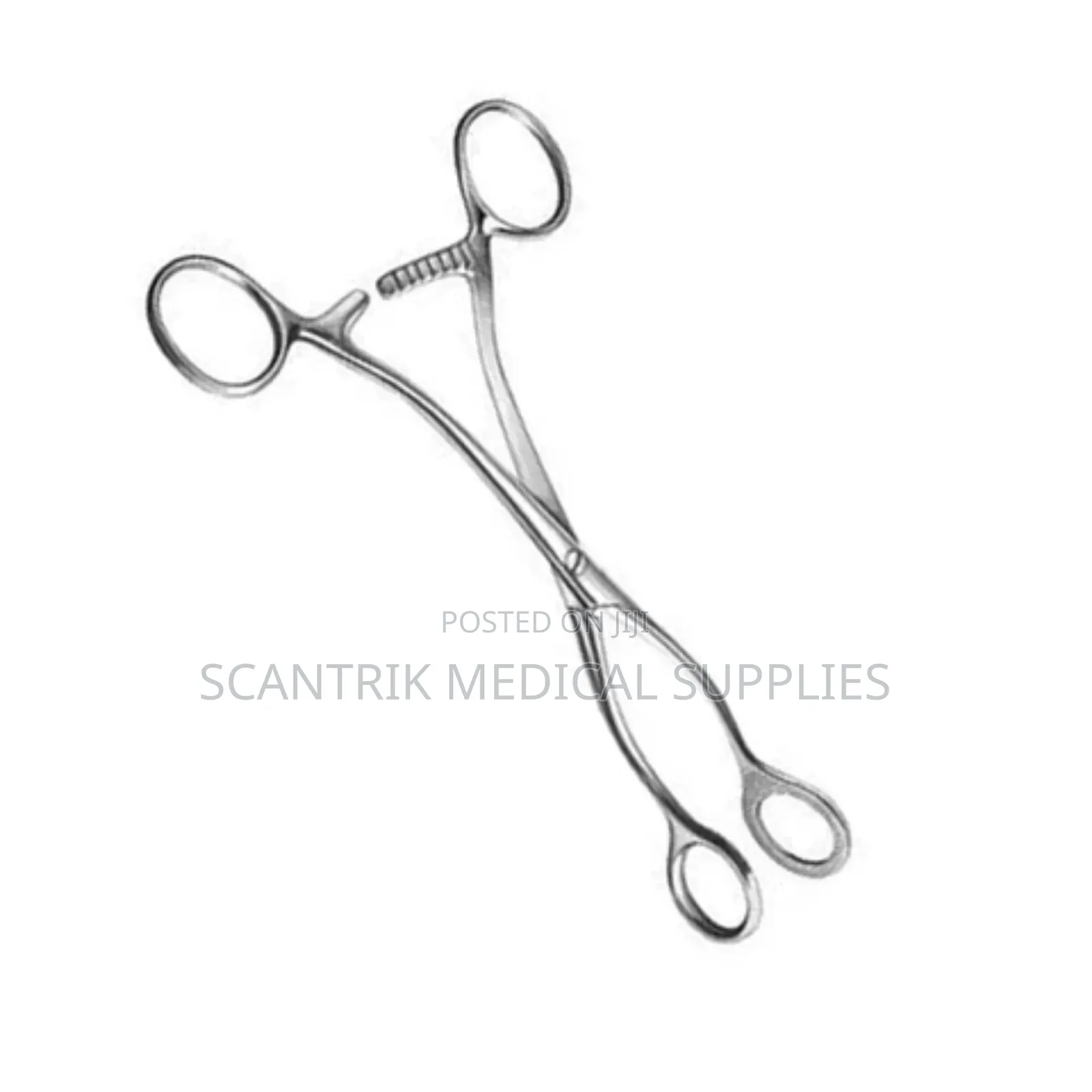 Stainless Tongue Forcep