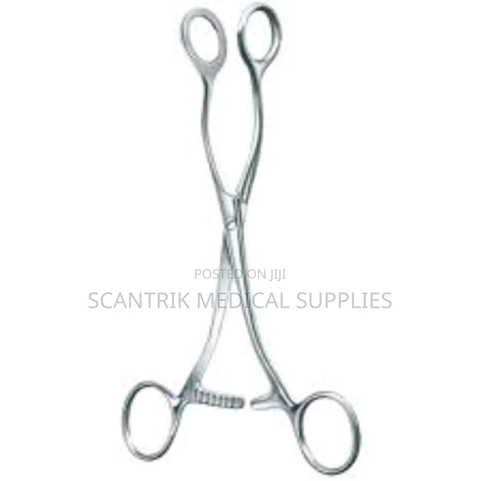 Surgical Tongue Forcep