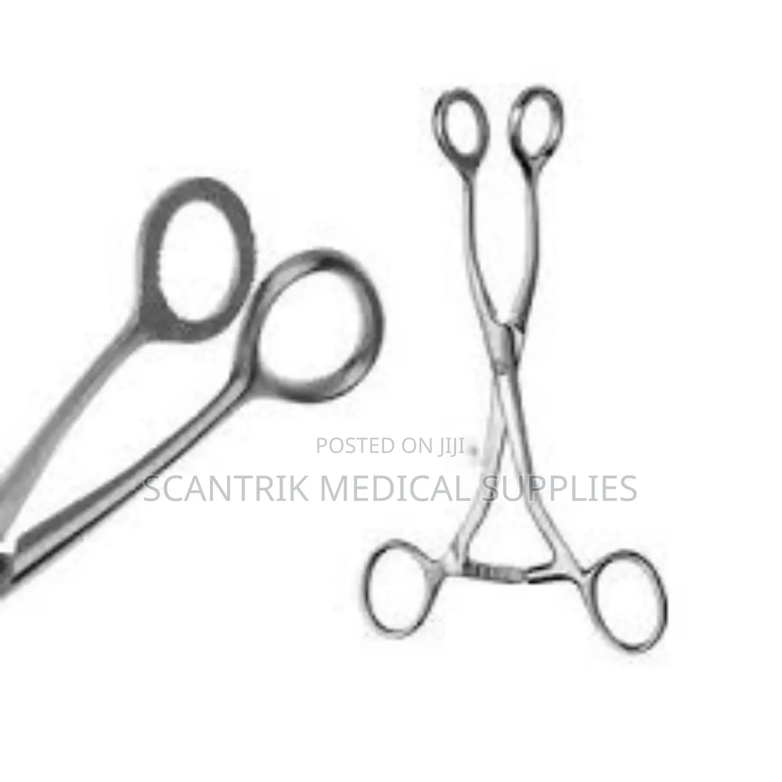 Tongue Holding Forcep