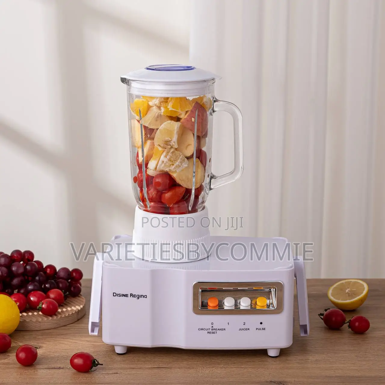 Disnie Regina (800w) 4in1 Food Processor –