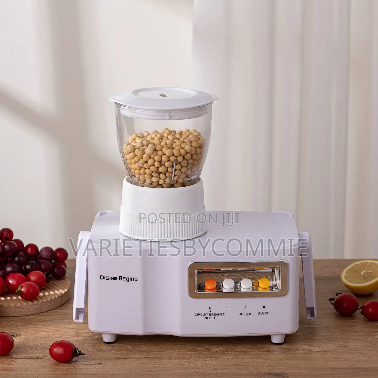 Disnie Regina (800w) 4in1 Food Processor –