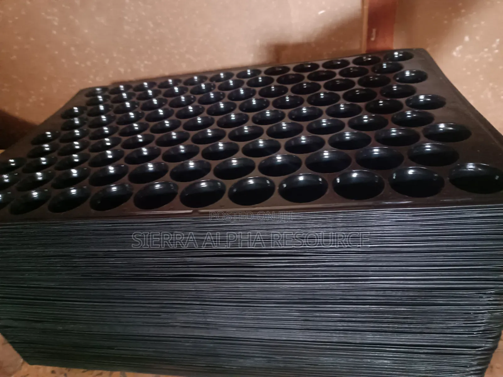 Seedling Trays