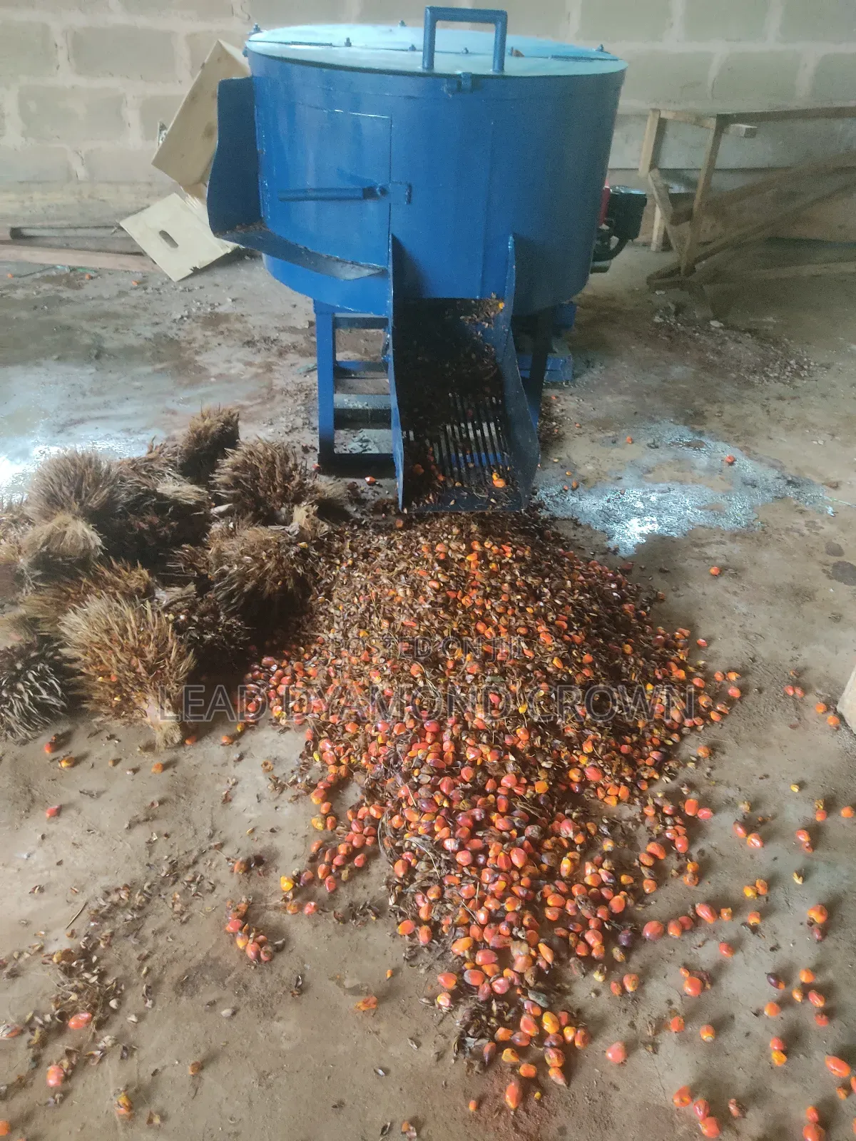 Vertical Palm Fruits Debuncher Machine