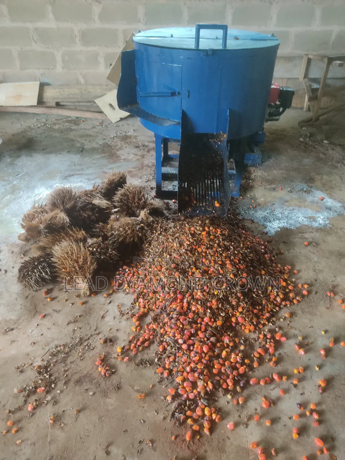Vertical Palm Fruits Debuncher Machine