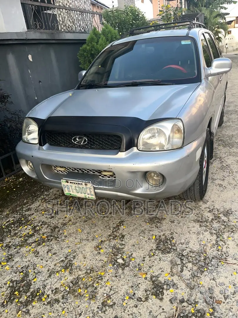 Hyundai Santa Fe 2004 Silver