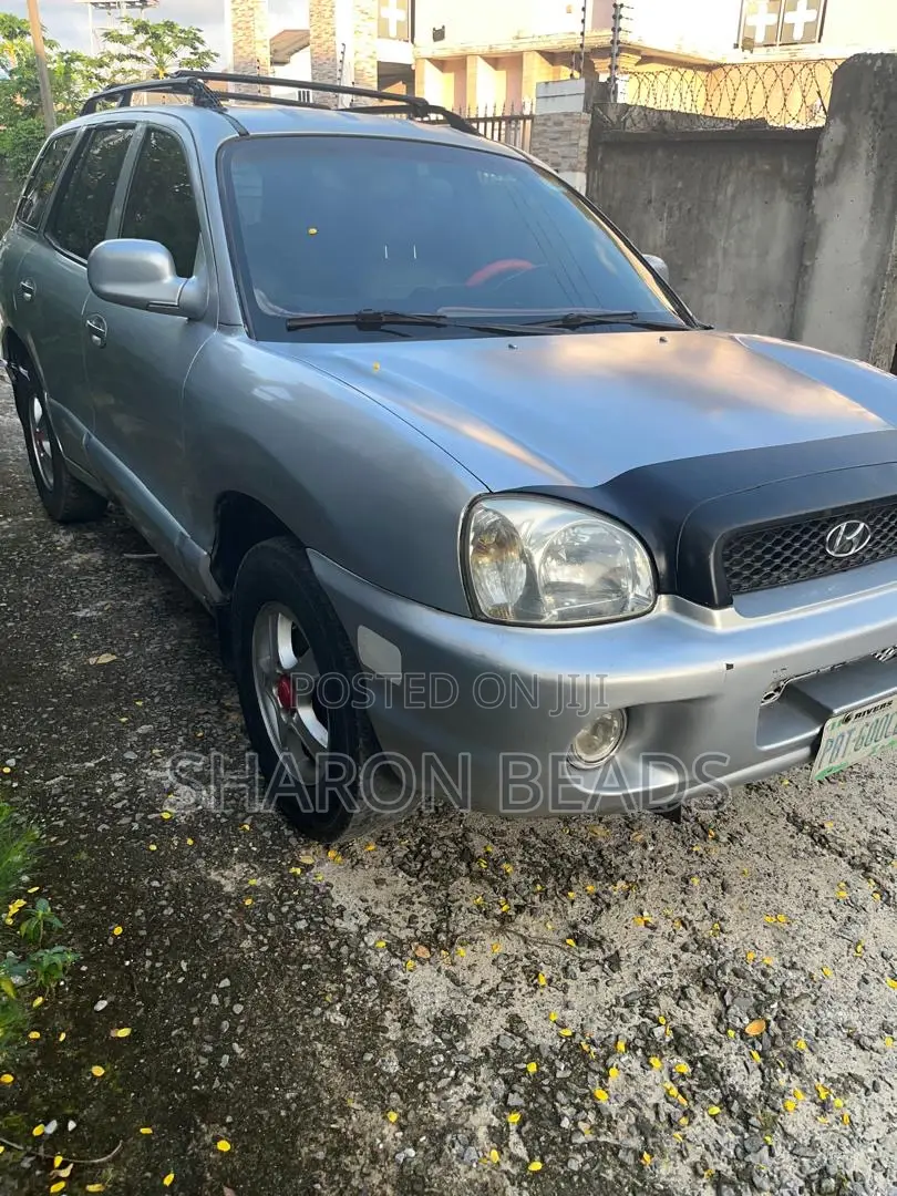 Hyundai Santa Fe 2004 Silver