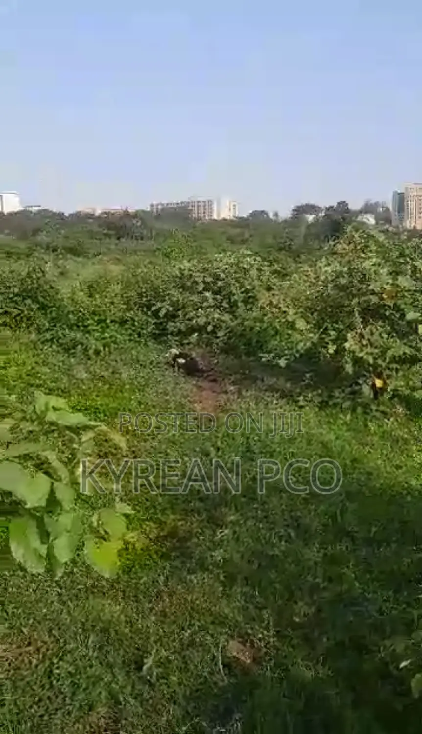 4 Plots of Land at Peace Estate