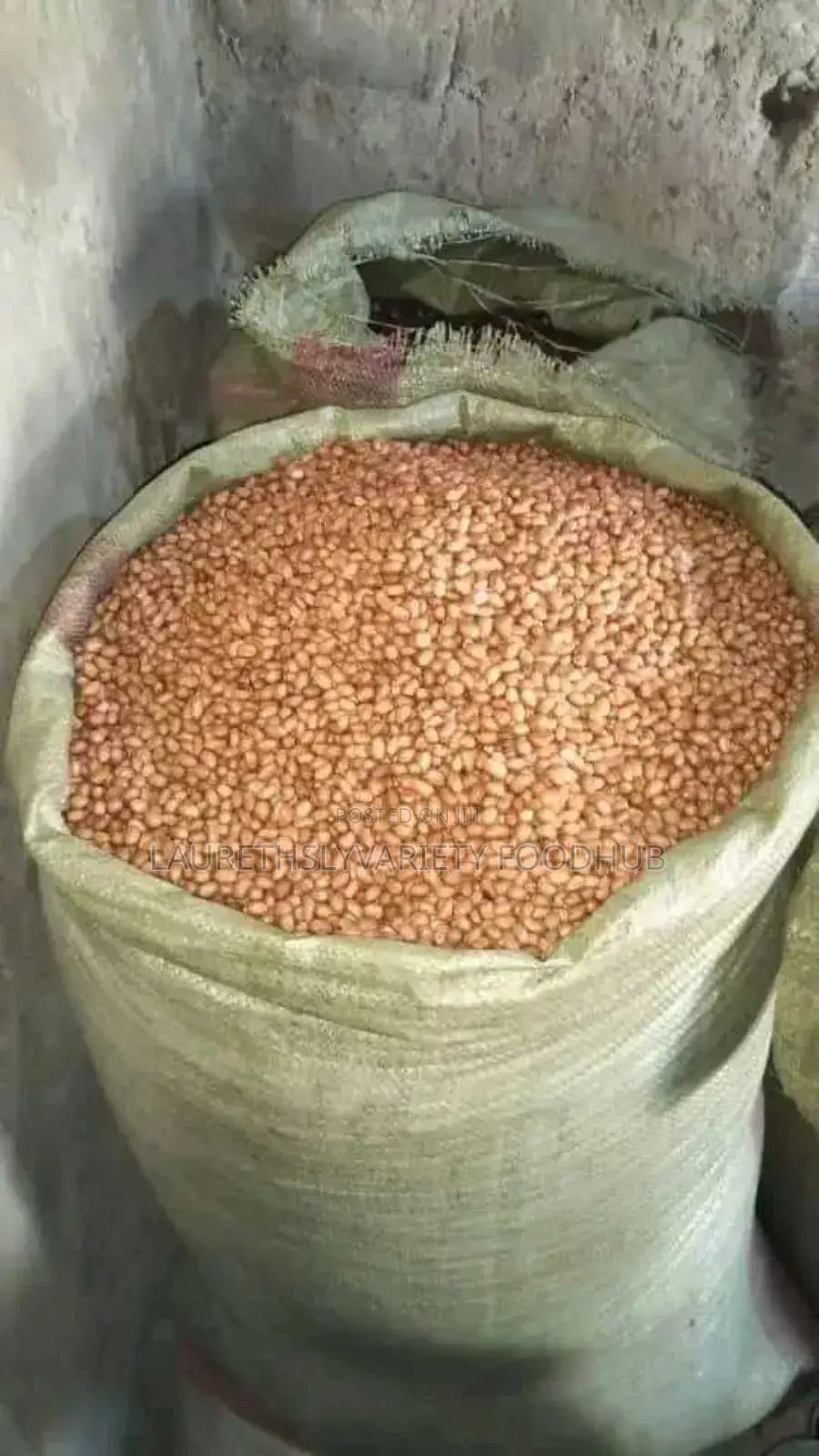 Fresh Groundnut for Sale | Clean Quality Supply
