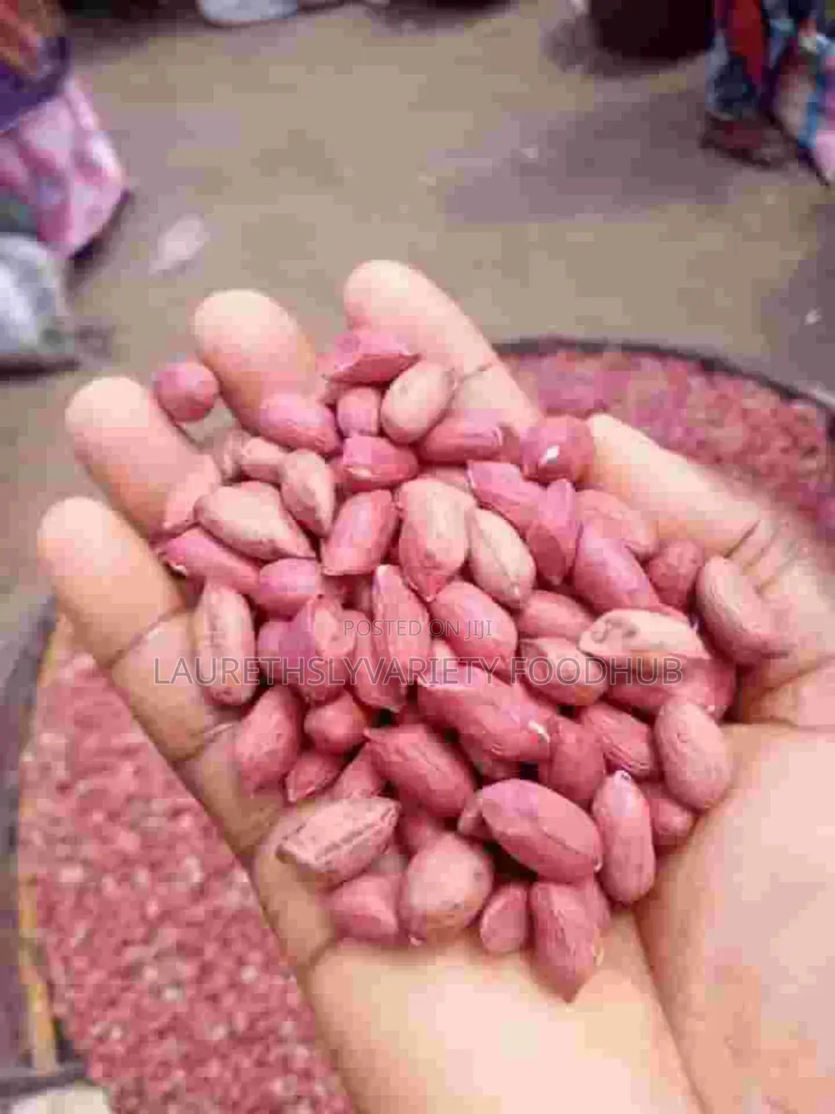 Fresh Groundnut for Sale | Clean Quality Supply