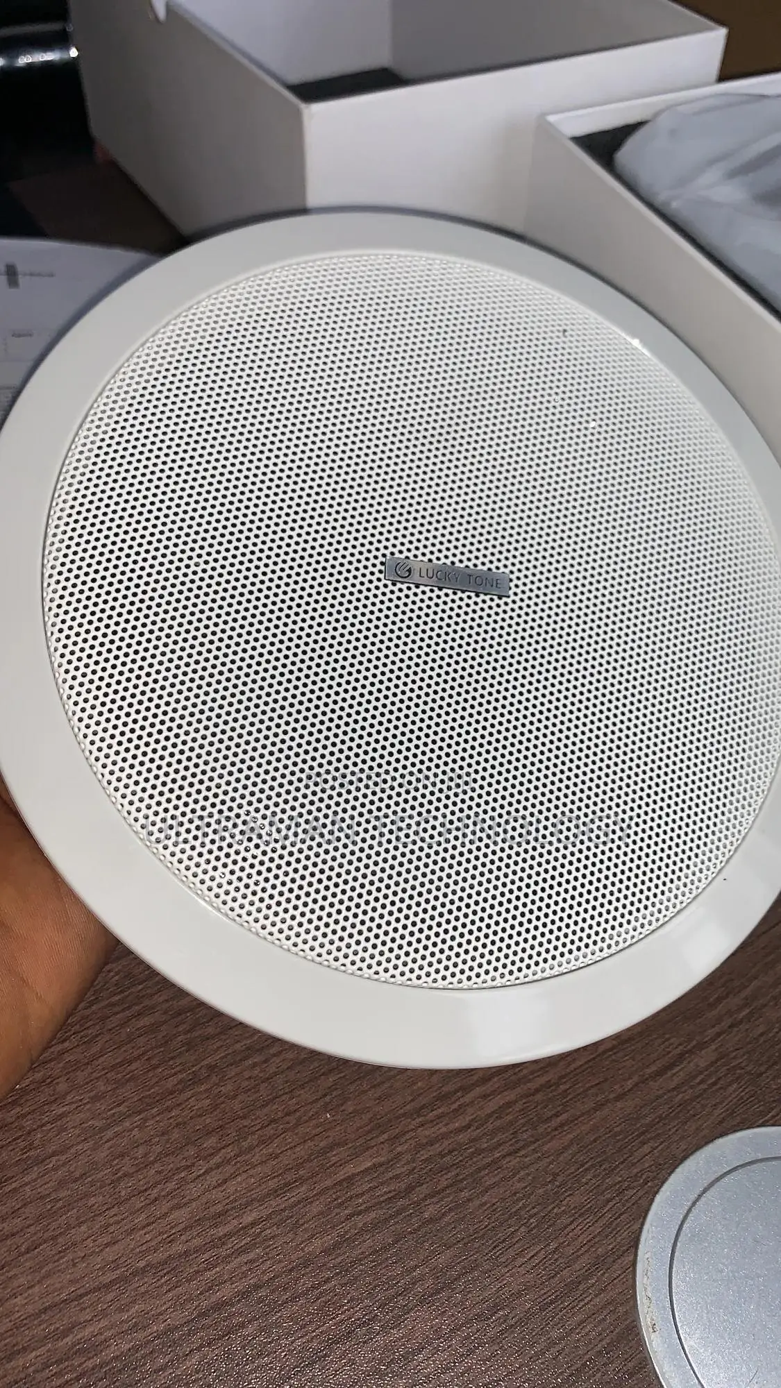 Standard Ceiling Speaker (20 Watts)