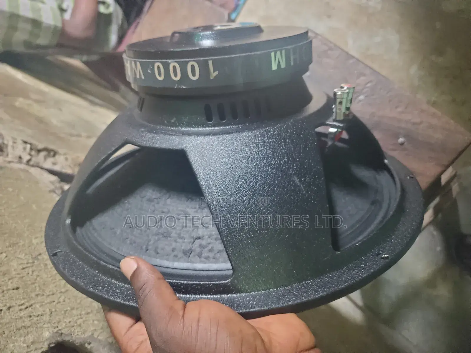 Oceanic Naked Speaker 1000W Tc1580