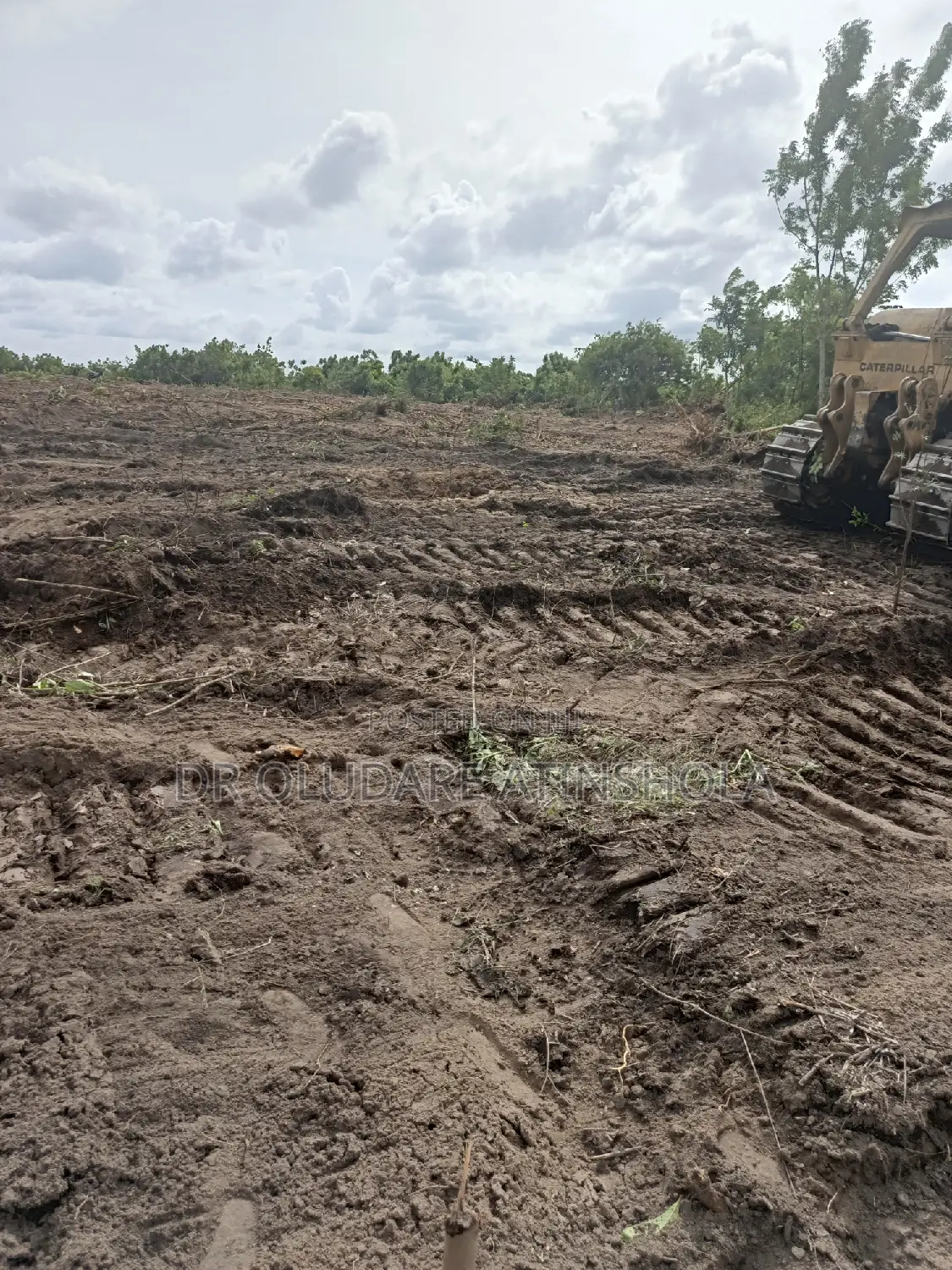 30 Plots of Land