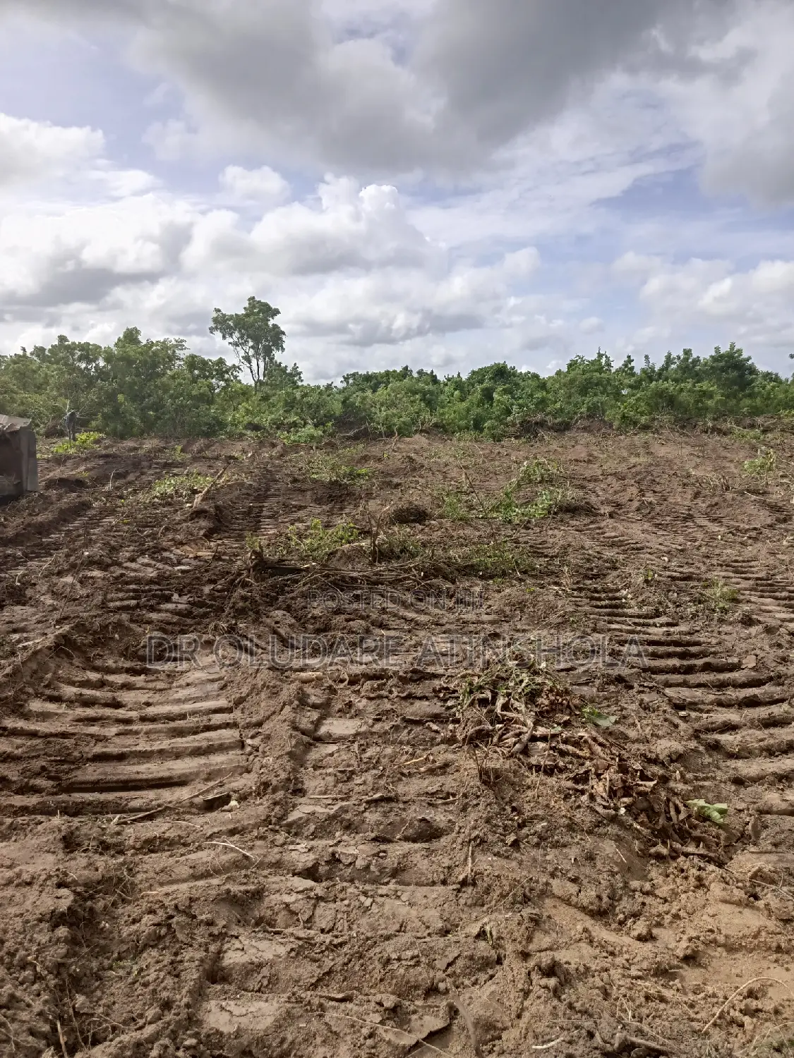 30 Plots of Land