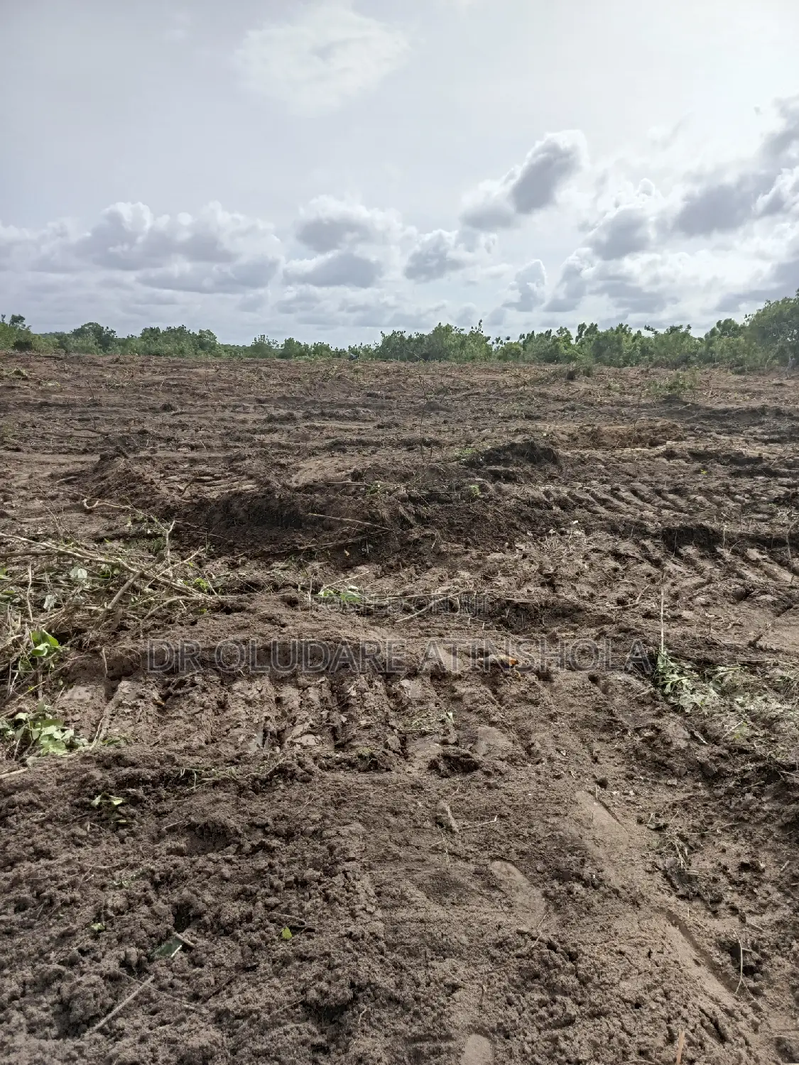 30 Plots of Land