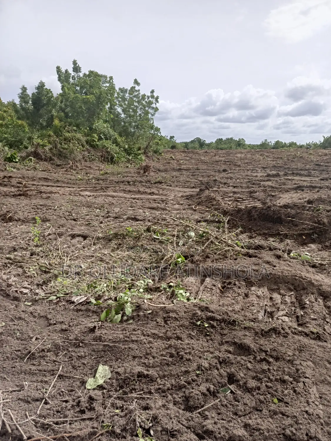 30 Plots of Land