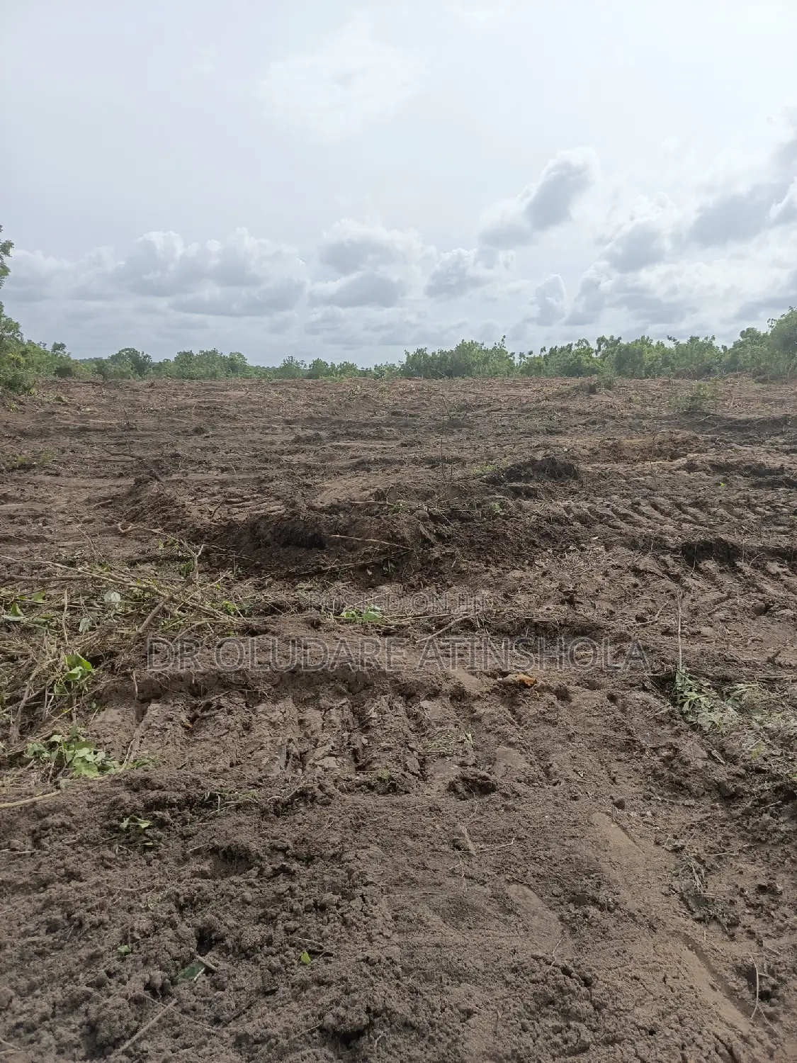 30 Plots of Land