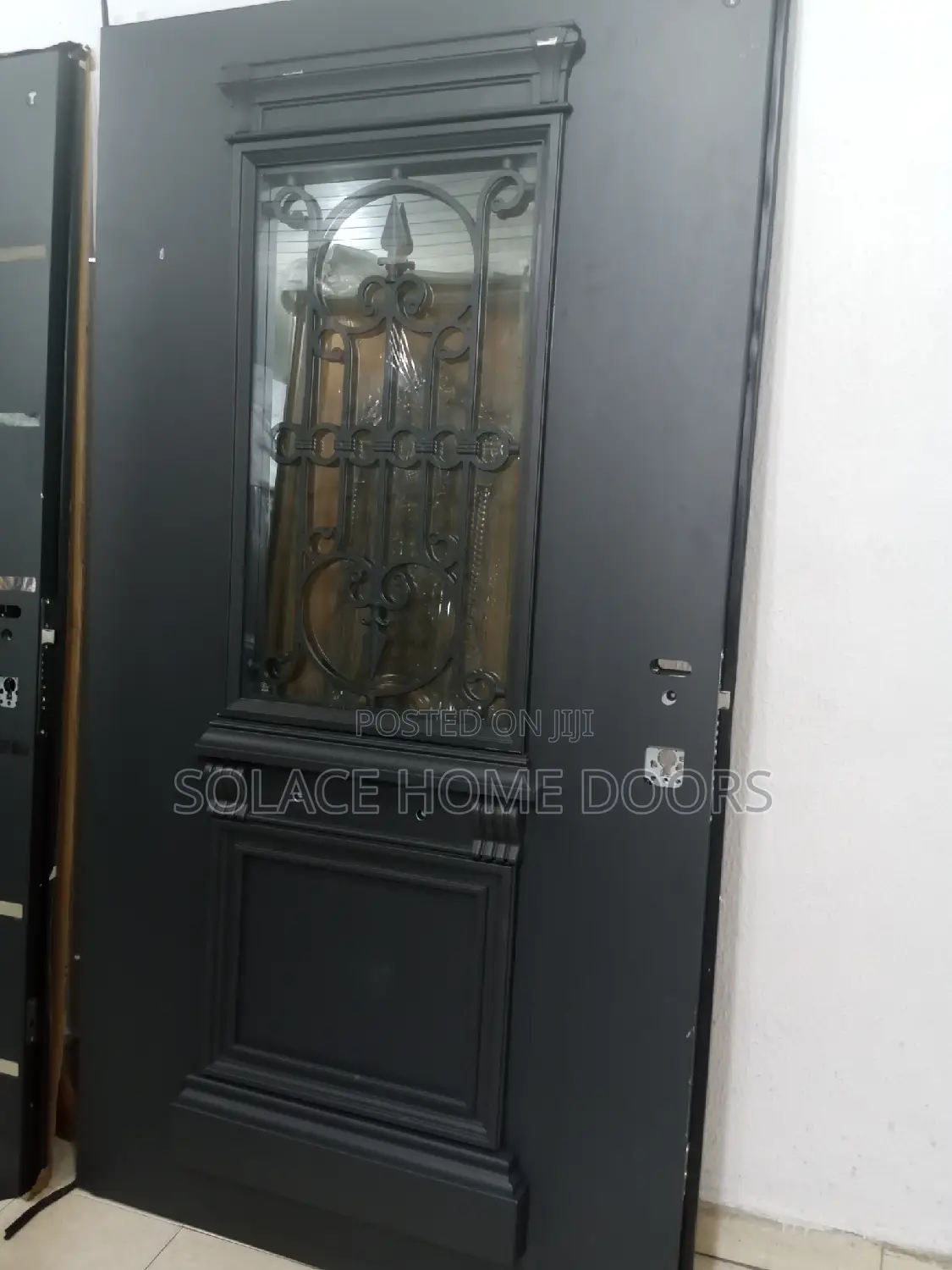 French Glass Steel Door.