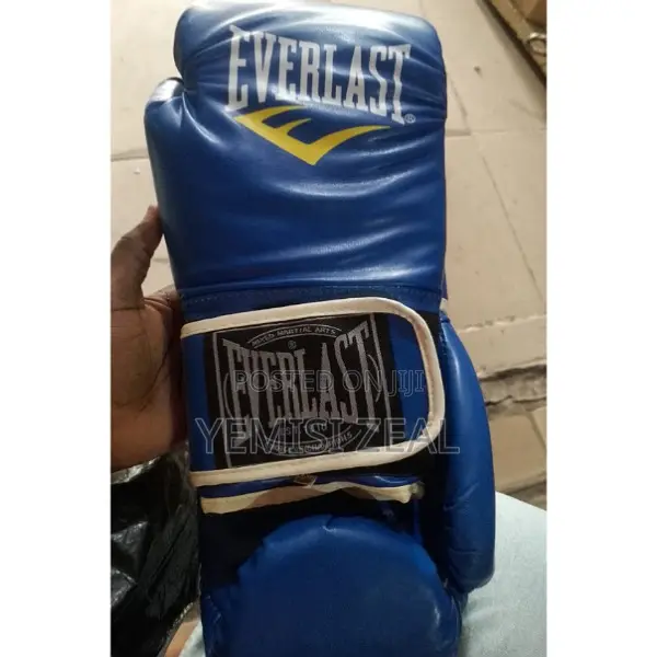 Blue Everlast Boxing Gloves