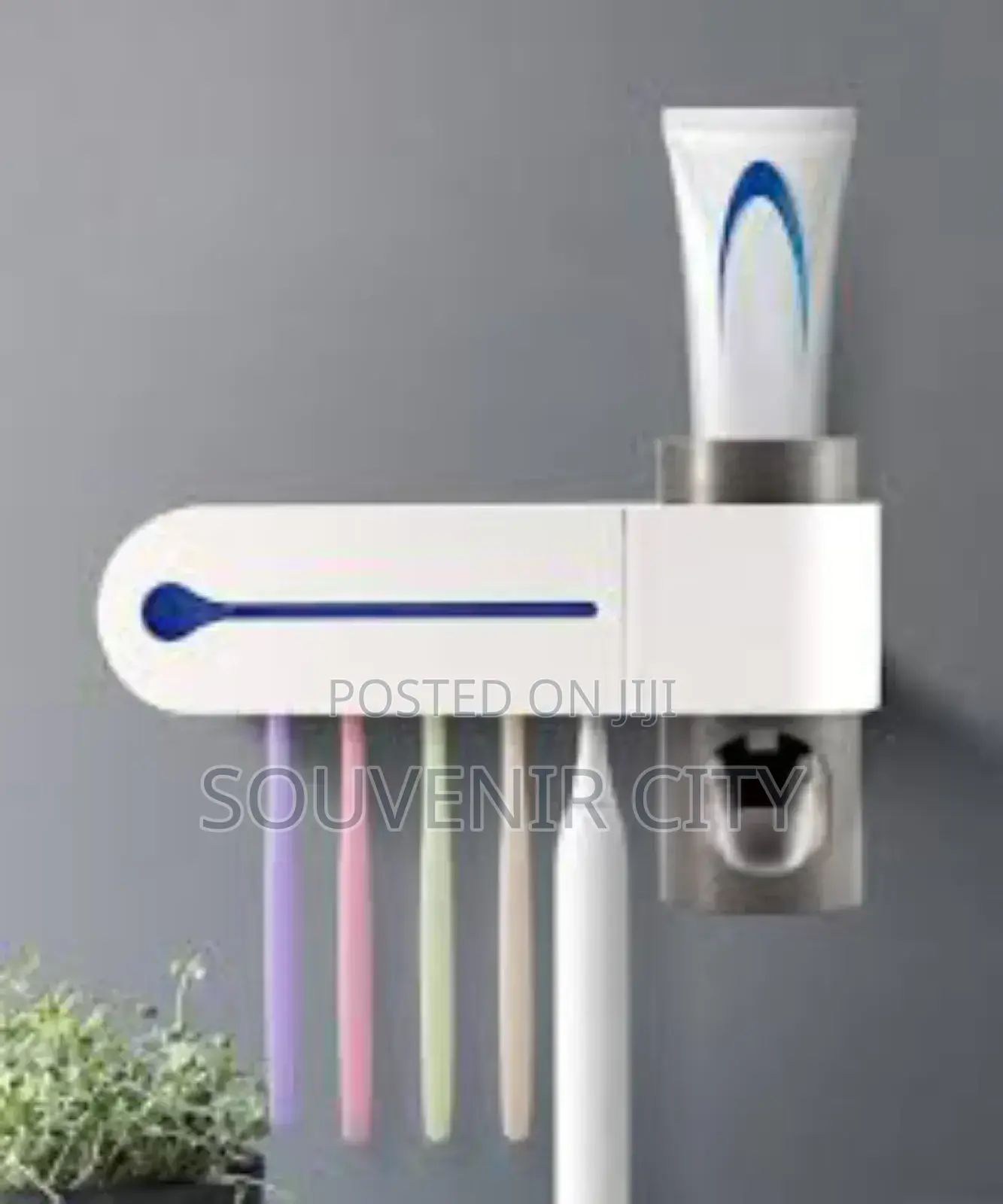 Toothbrush Sterilizer