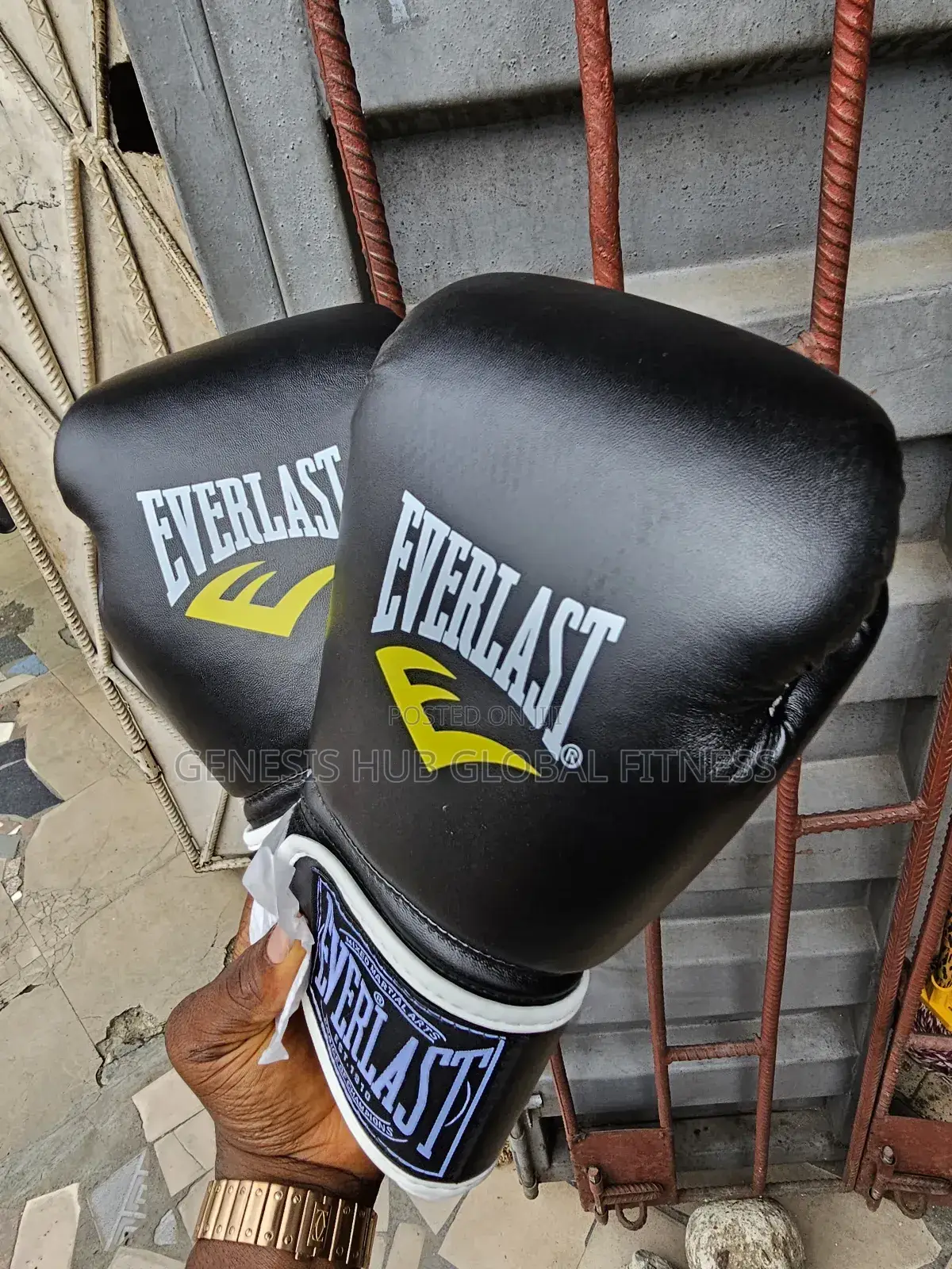 Everlast Boxing Gloves