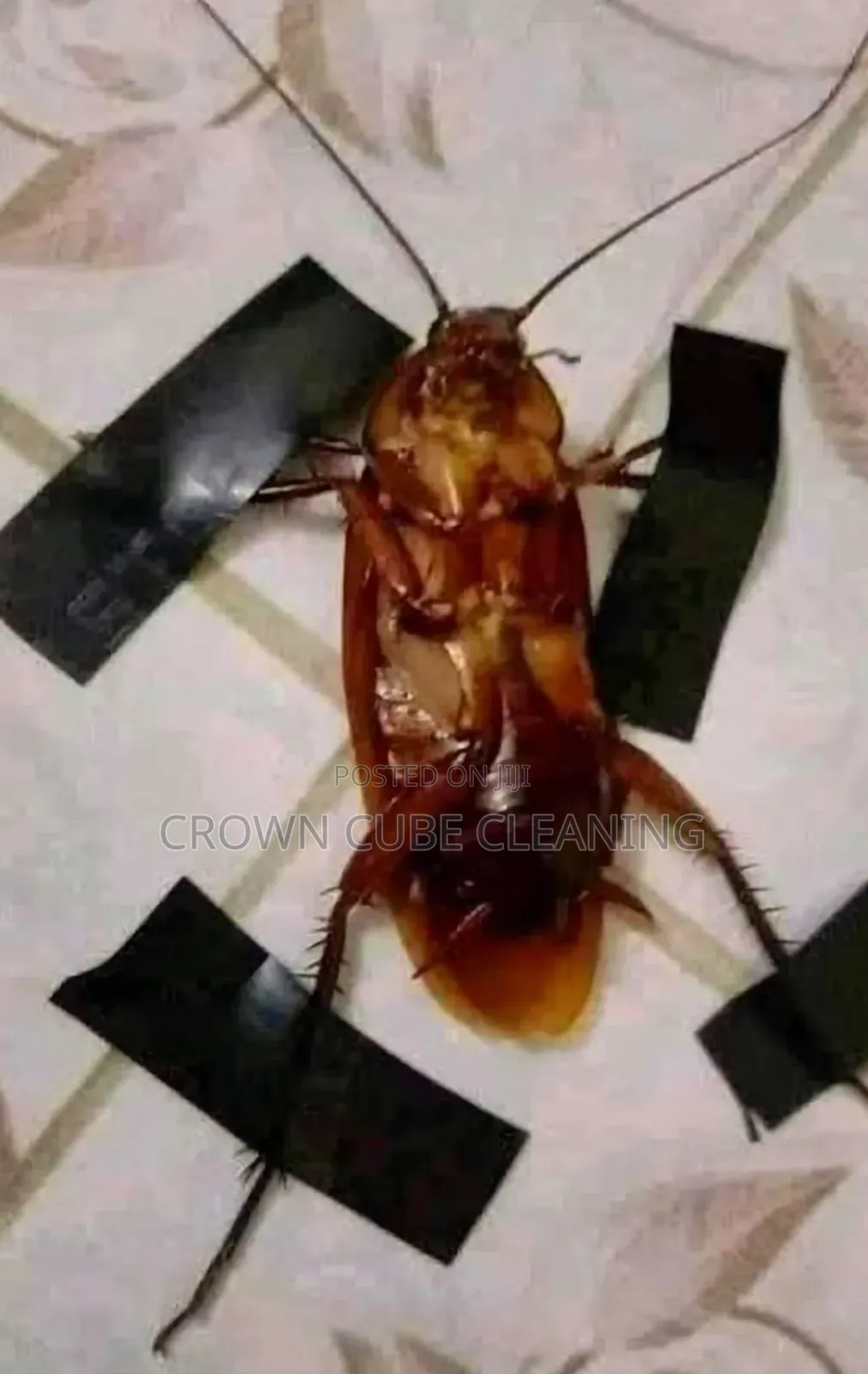 Residential Best Fumigation Services in Ikeja