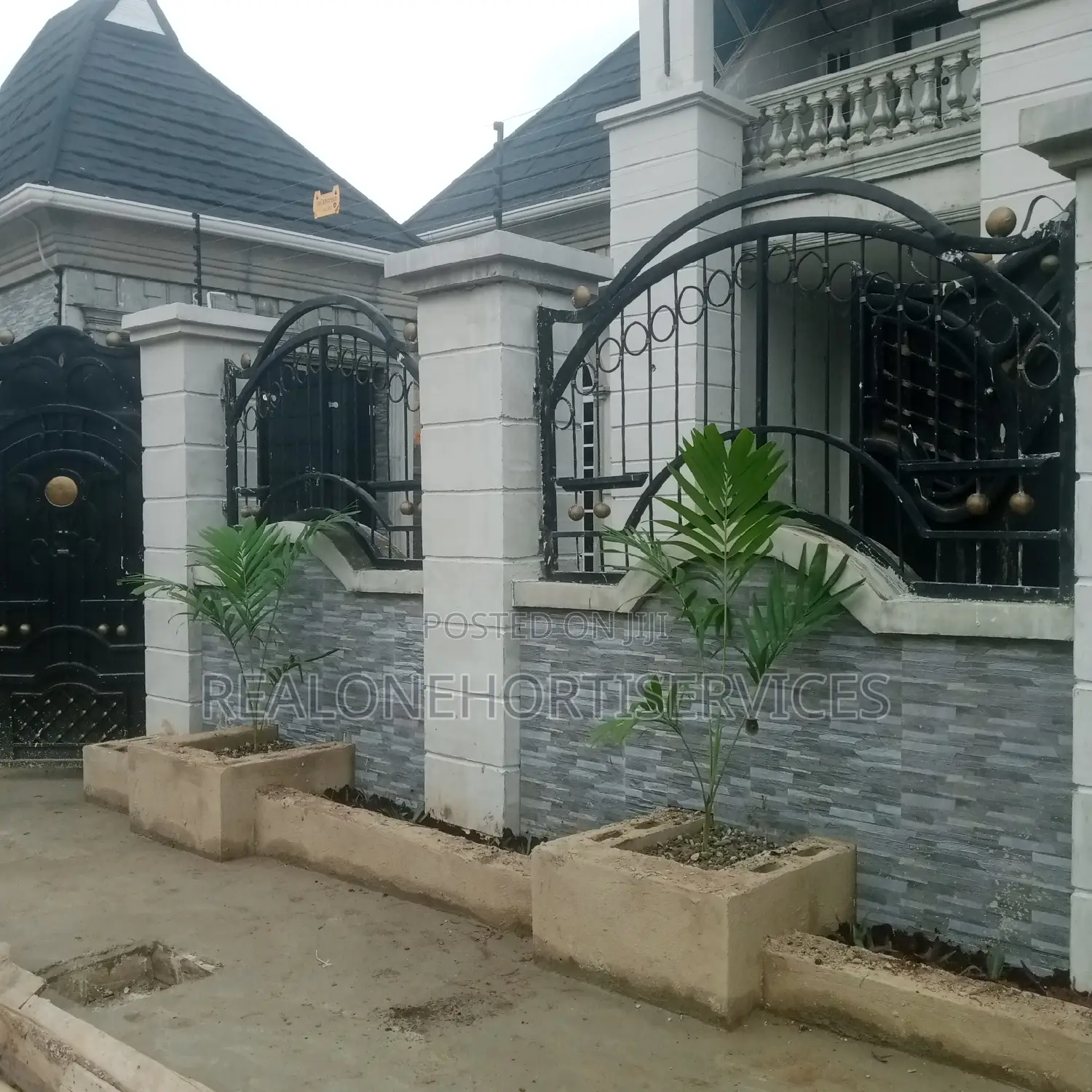 Real'one Garden for Home Plant, Landscape Plant