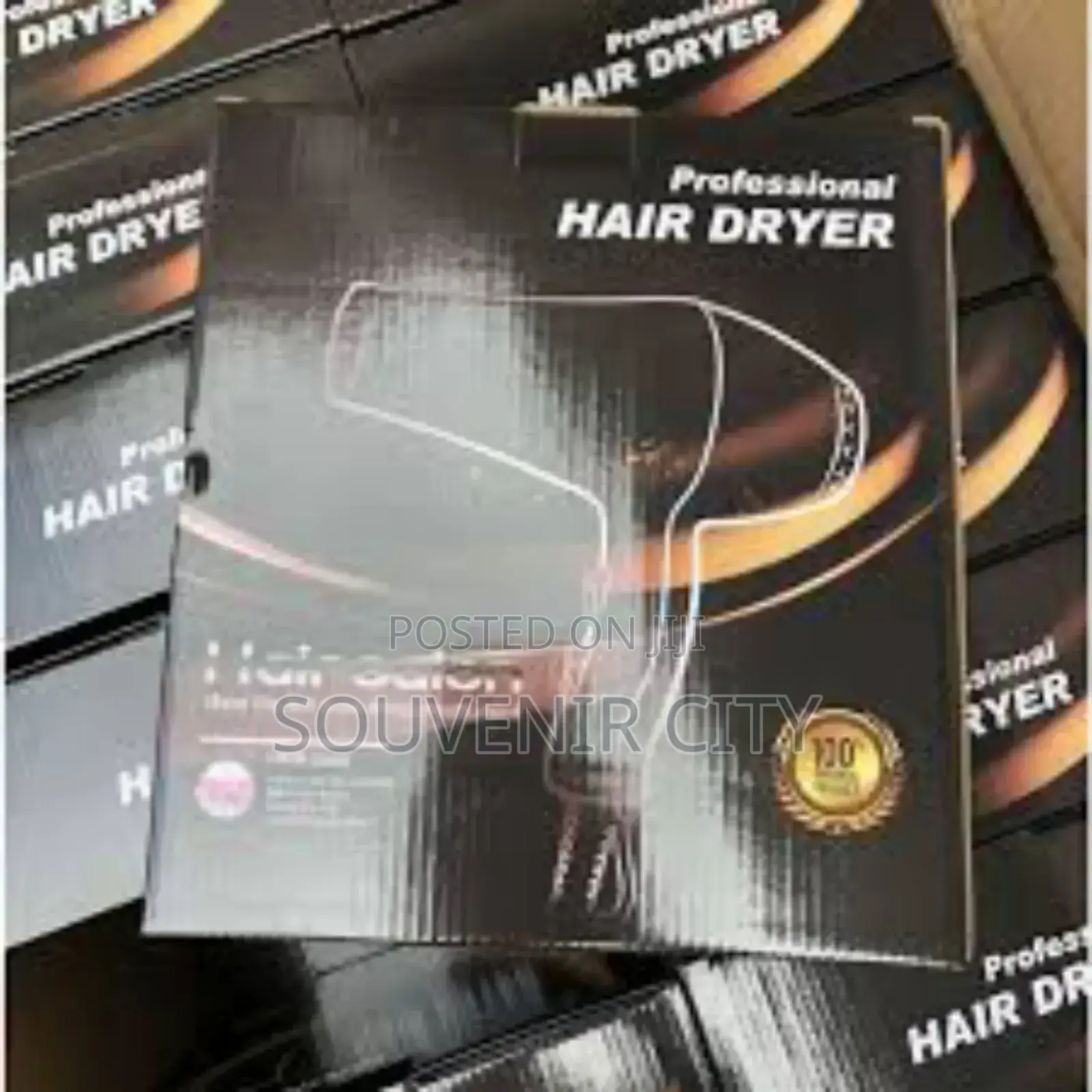 Professional Hair Dryer