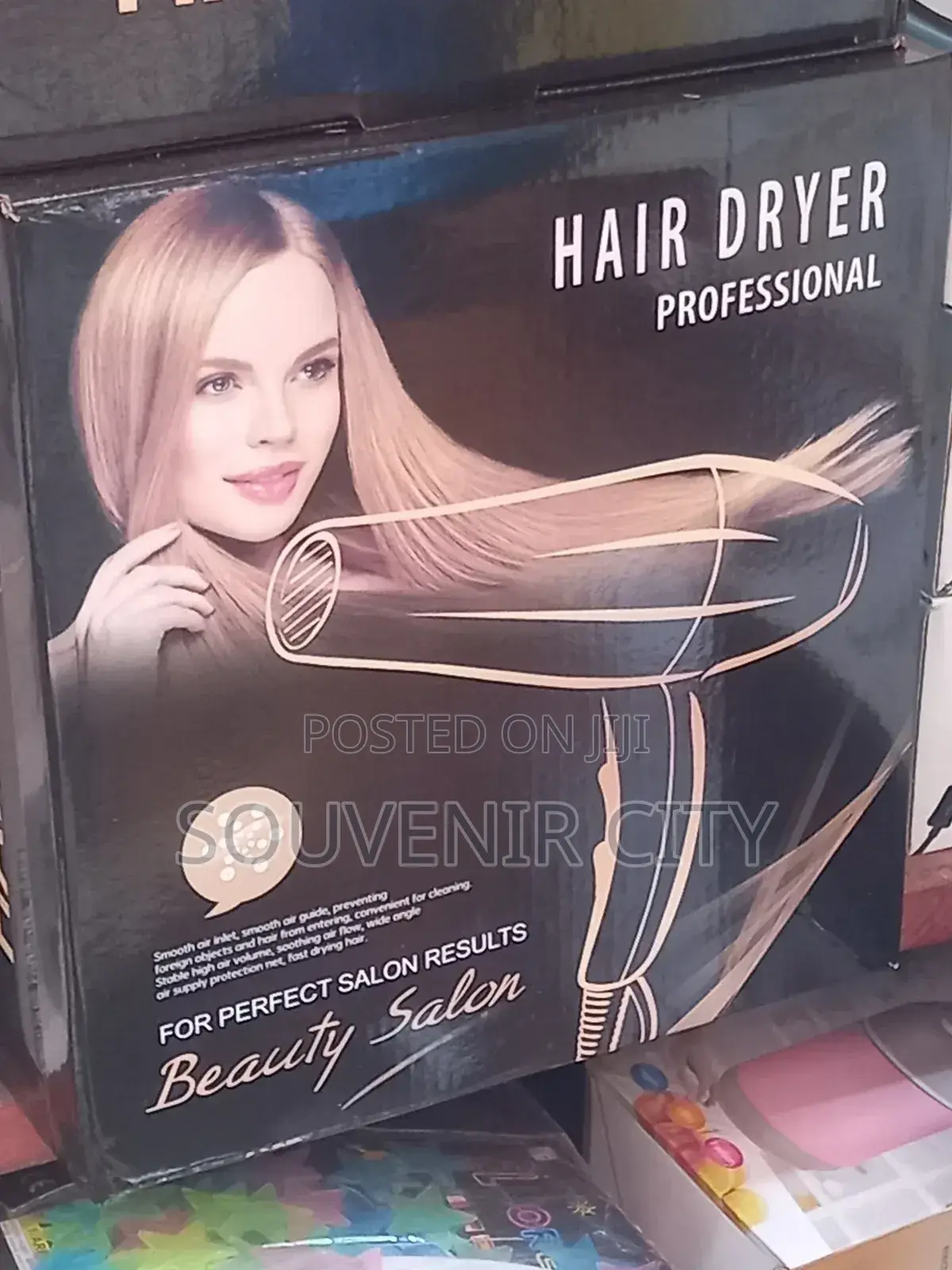 Professional Hair Dryer