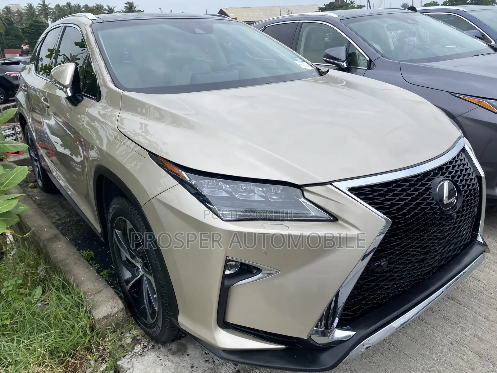 Lexus RX 350 AWD 2019 Gold