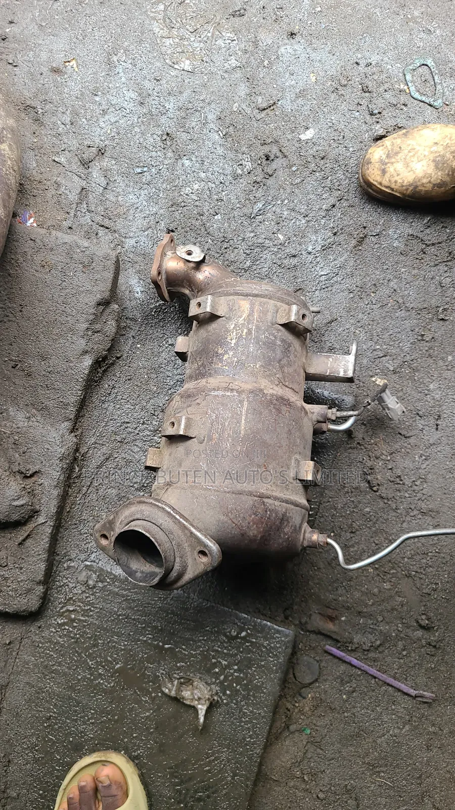 Engine Catalyst Rav4 Diesel