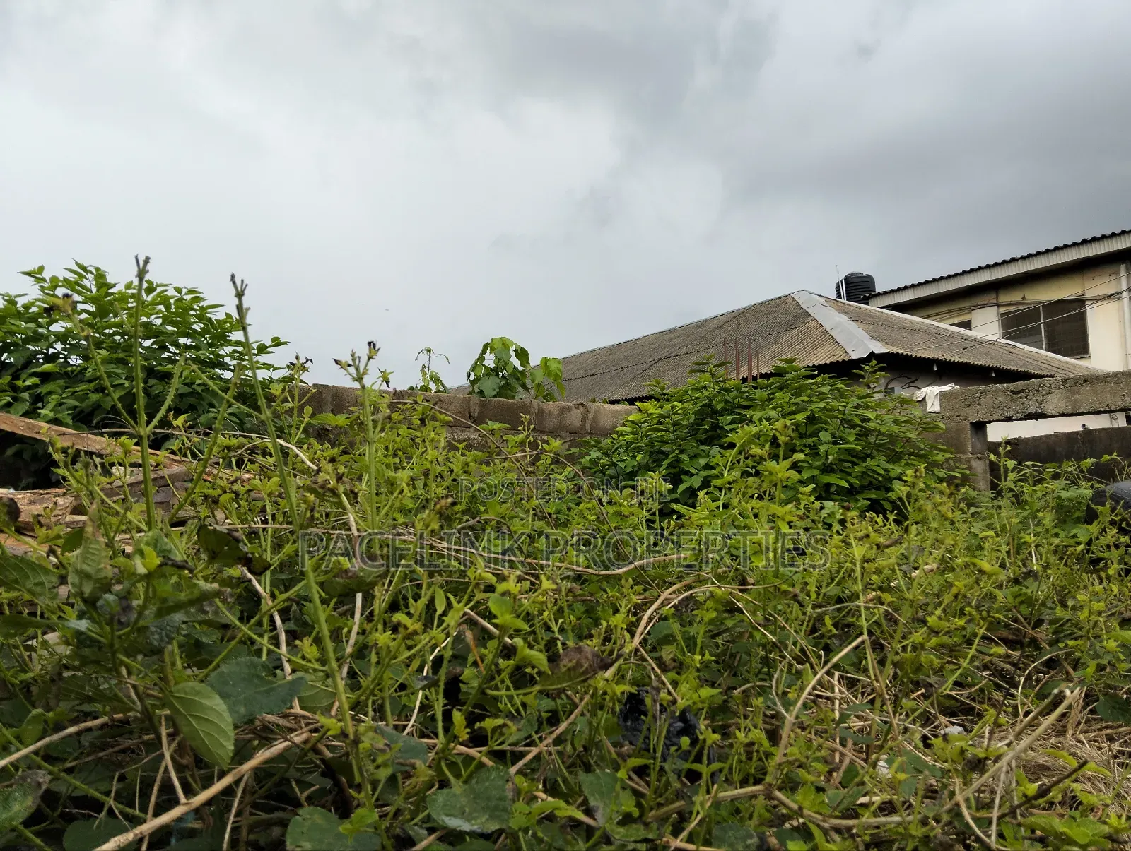 Half Plot of Land in a Very Decent Area