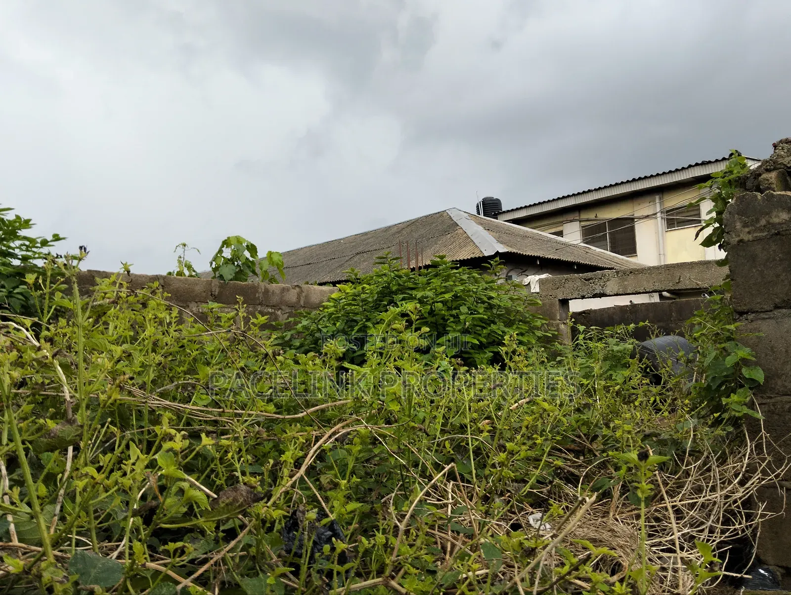 Half Plot of Land in a Very Decent Area