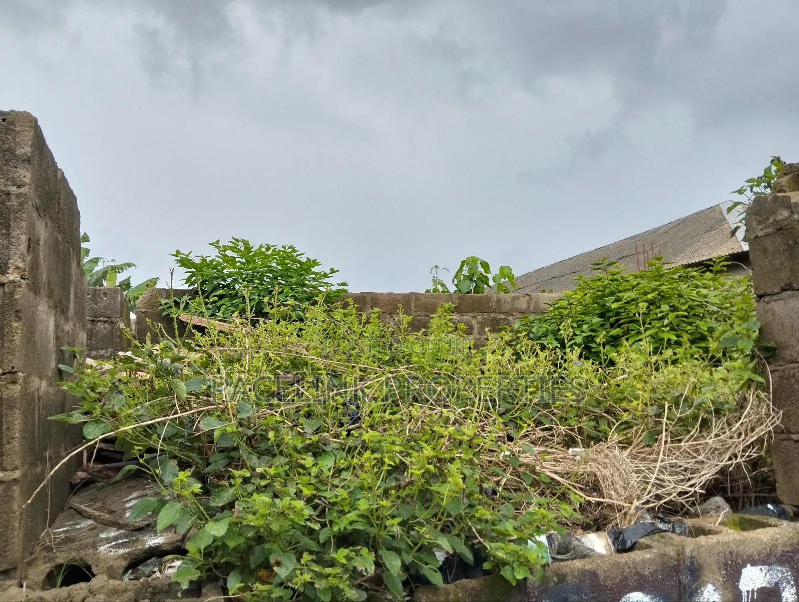 Half Plot of Land in a Very Decent Area