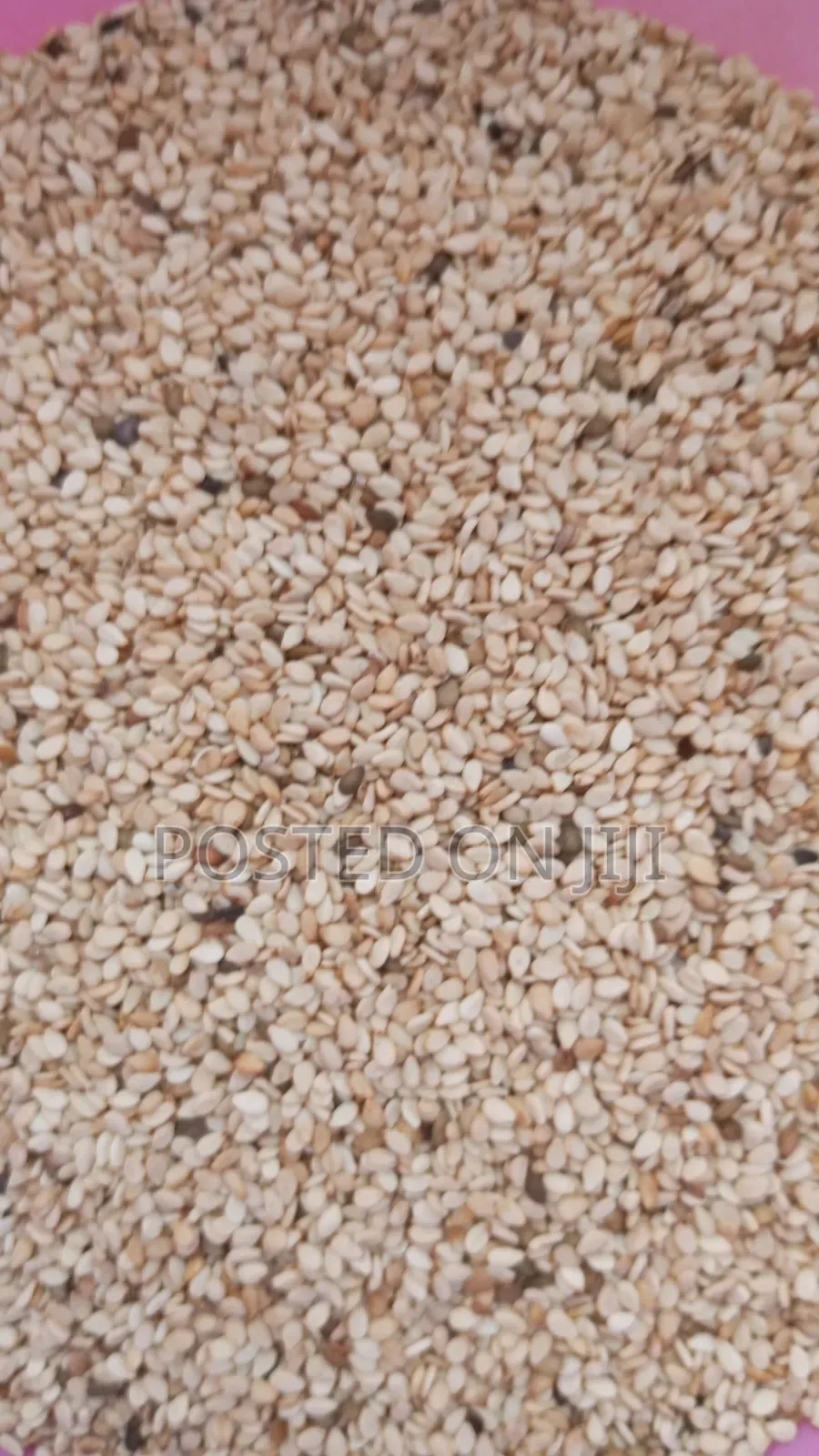 Sesame Seeds 100g