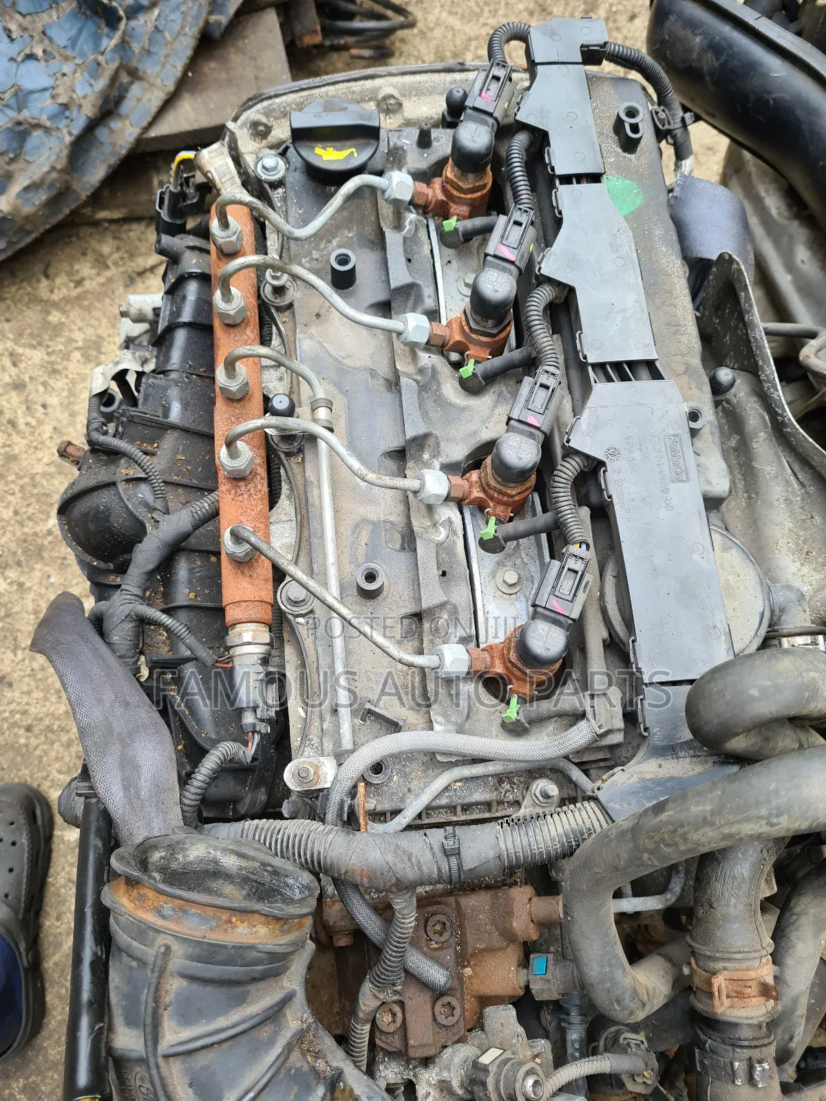 Ford Focus Diesel Engine