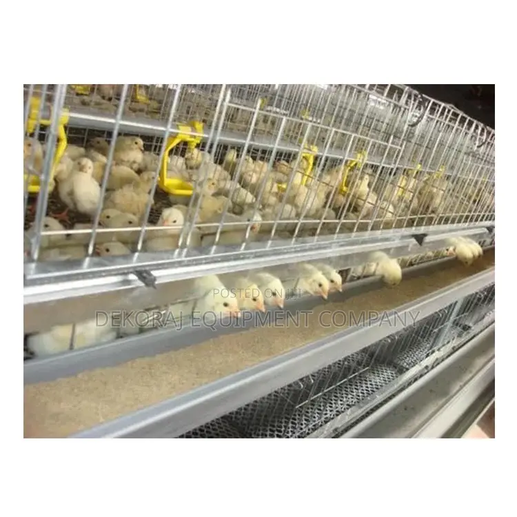 Imported Broiler Cages For Meat Yield 500-40,000 Chickens