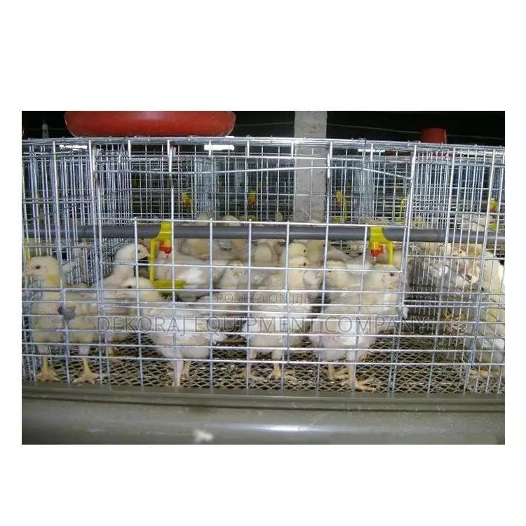 Quality 120 Broiler Battery Cages For Poultry Farming