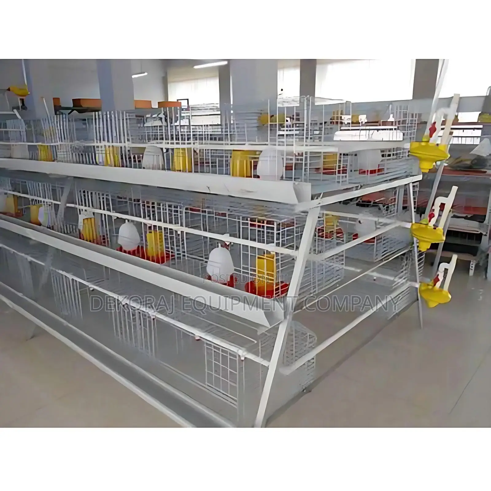 Broiler Cage For Rapid Weight Gain For Fast Roi,Drinkers,Egg
