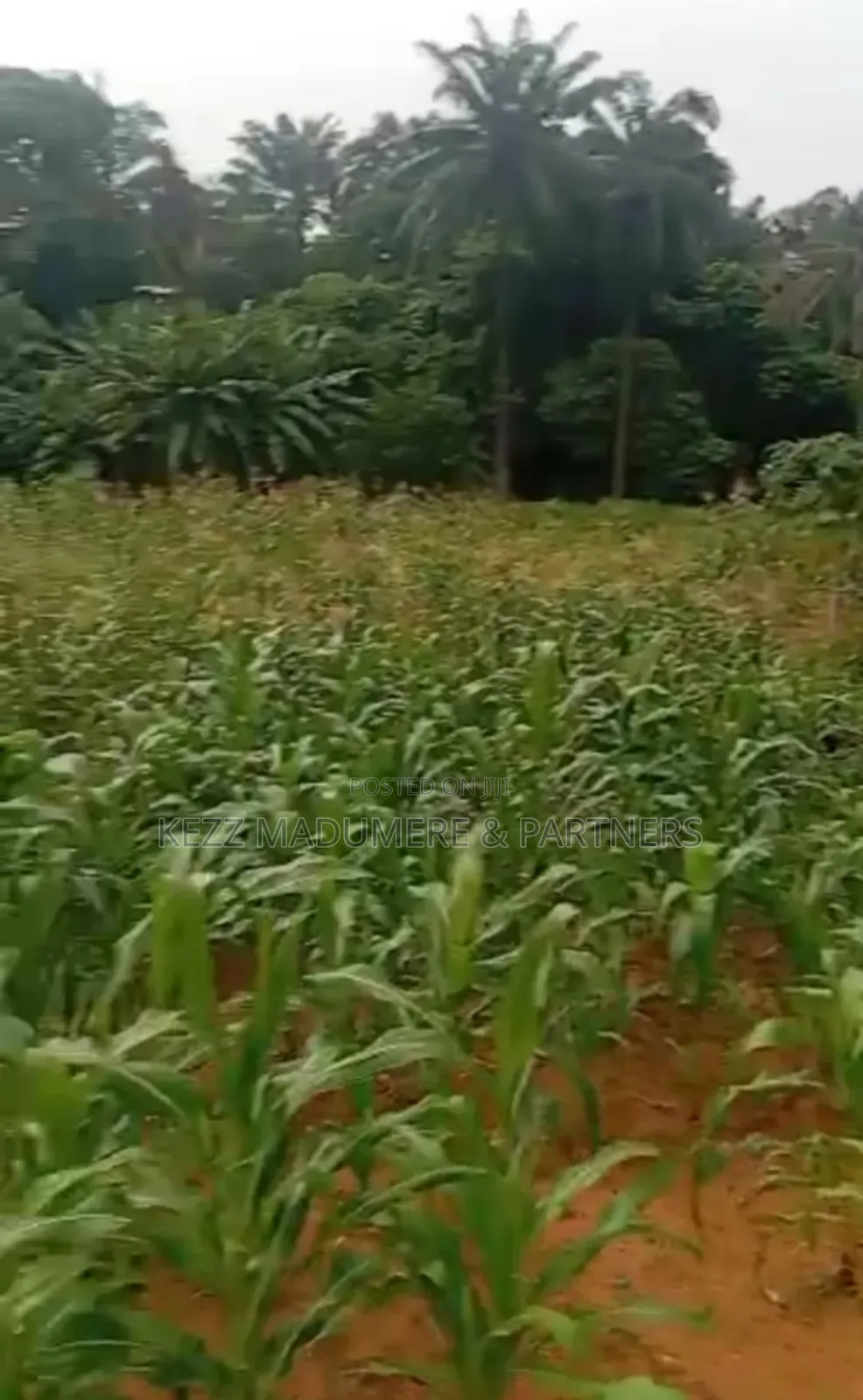 For Sale : 11⁄4 Plots at Off Apu Road , Rukpokwu