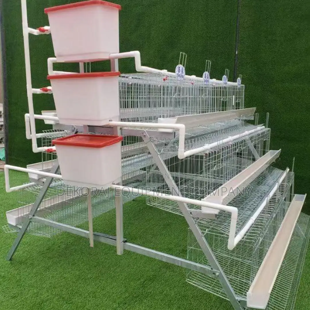 Boost Egg Production With Our 96-layer Capacity Cage